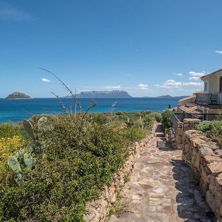 Apartment Giuly By Interhome Golfo Aranci Εξωτερικό φωτογραφία
